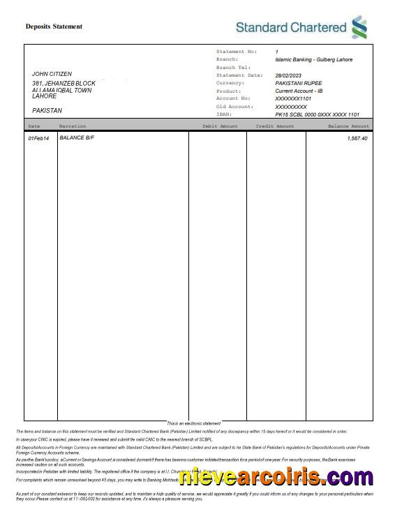 Pakistan Standard Chartered bank statement Word and PDF